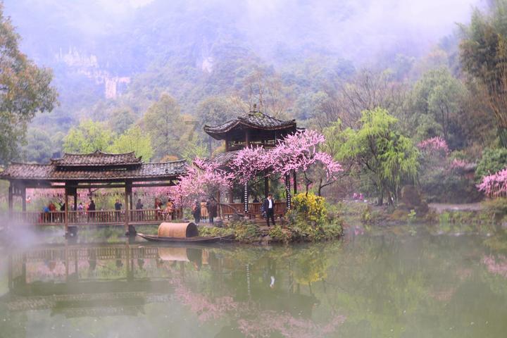 转发老李说：有一个王某人，他处世态度是势利、唯上是从。从战略上看，他的软肋是什么？